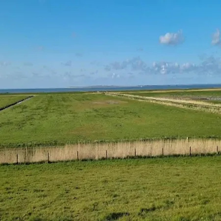 Kapitanskajute In * Dornumersiel