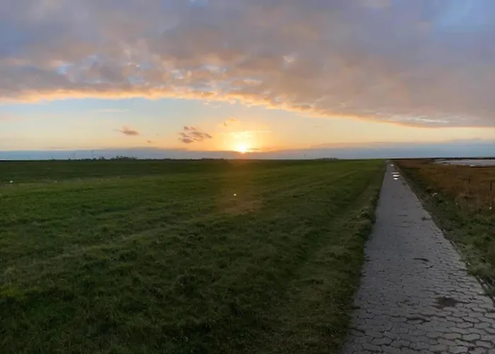 Daire Kapitanskajute In *