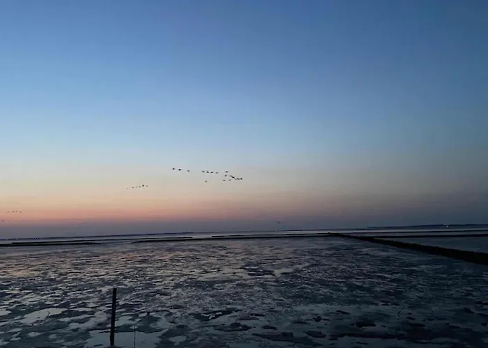 Kapitanskajute In Daire Dornumersiel