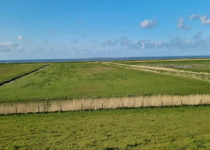 Kapitanskajute In * Dornumersiel