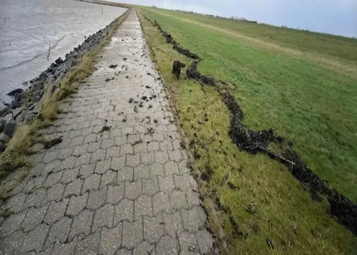 Daire Kapitanskajute In