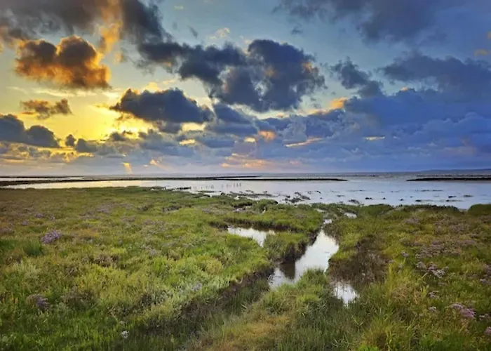 Kapitanskajute In Dornumersiel